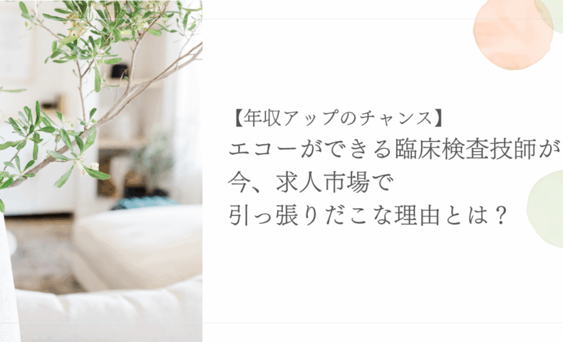 未経験からエコーを習得できる求人票の見分け方ガイド