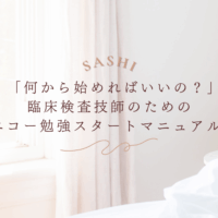 初心者向けエコー勉強スタートマニュアルを解説する画像