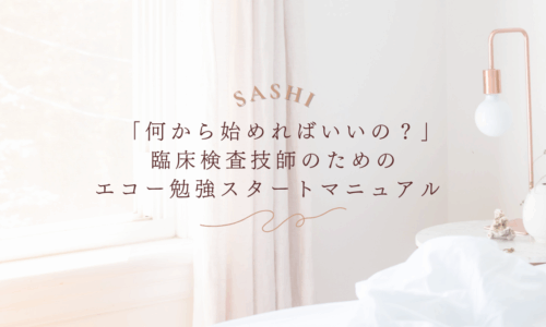 初心者向けエコー勉強スタートマニュアルを解説する画像