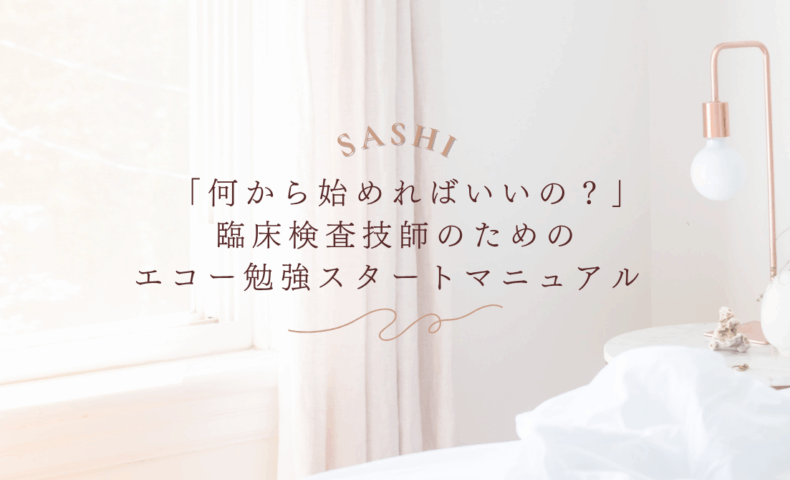 初心者向けエコー勉強スタートマニュアルを解説する画像