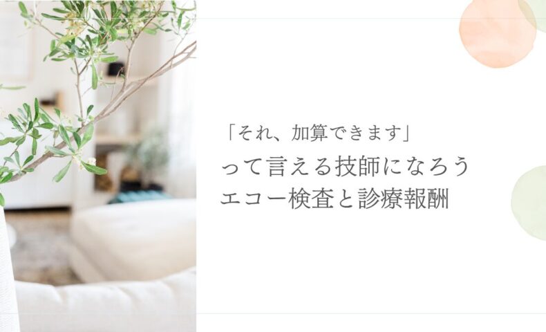 エコー検査の診療報酬と保険点数の基本をわかりやすく解説