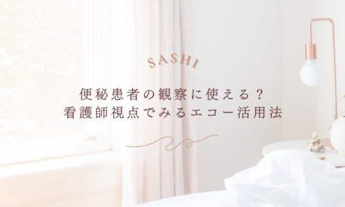 便秘患者の観察に役立つ看護師視点でのエコー活用法を紹介