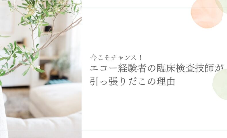 エコー経験を持つ臨床検査技師が今注目されている理由を紹介