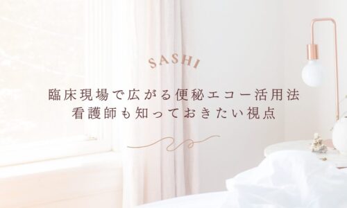 臨床現場で広がる便秘エコー活用法と看護師が知っておきたい視点を紹介