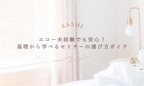 エコー未経験者でも安心の基礎から学べるセミナー選び