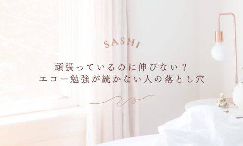 エコー勉強が続かない人が陥る落とし穴と対処法