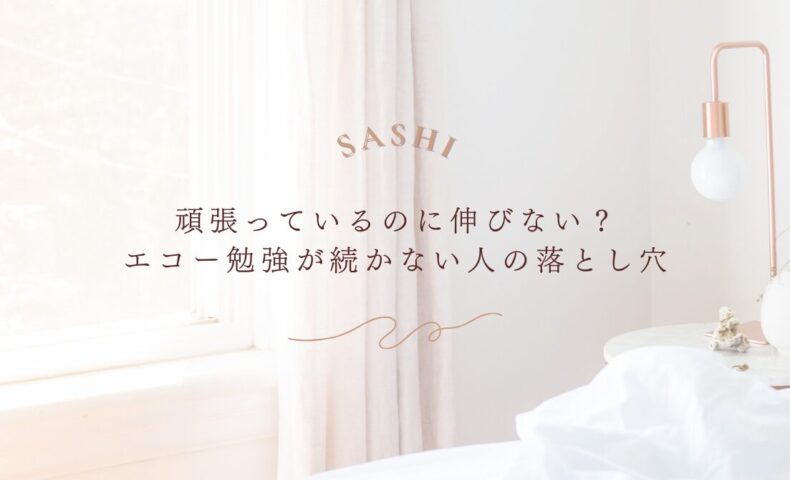 エコー勉強が続かない人が陥る落とし穴と対処法
