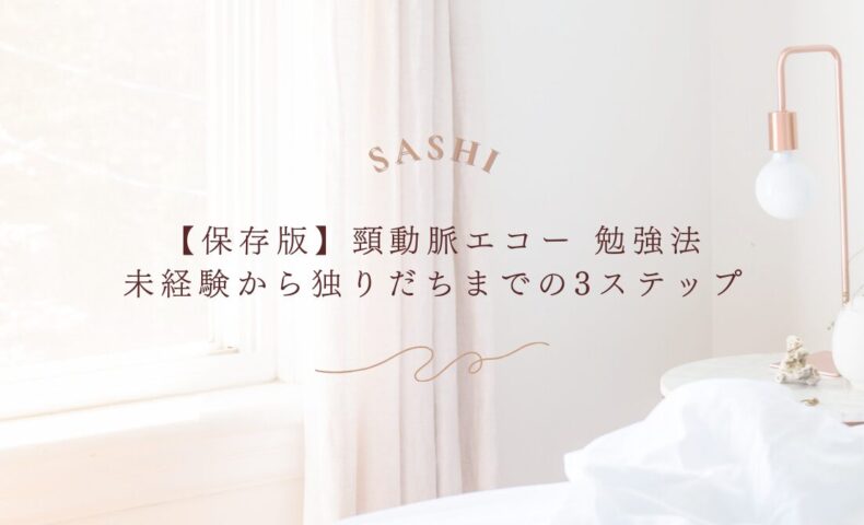 頸動脈エコー未経験者向け3ステップ勉強法【保存版】
