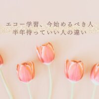 エコー学習の始めどきに悩む人向けの判断基準と選び方