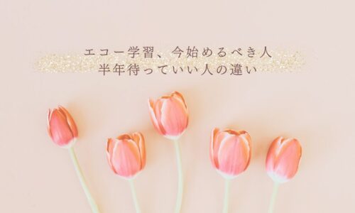 エコー学習の始めどきに悩む人向けの判断基準と選び方