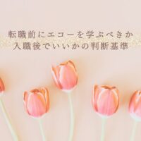 転職前にエコーを学ぶべきか迷う人への判断基準