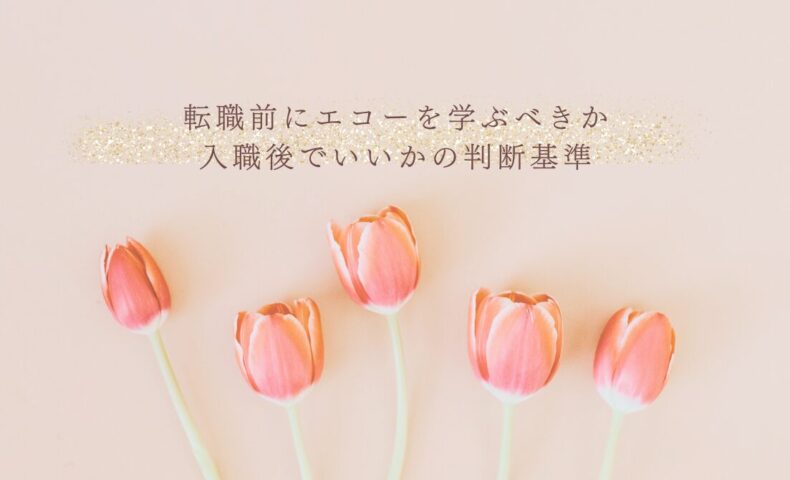 転職前にエコーを学ぶべきか迷う人への判断基準
