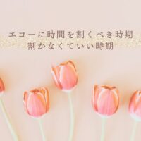 エコー学習に時間を使うべき時期とそうでない時期の違い