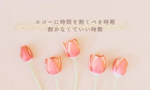 エコー学習に時間を使うべき時期とそうでない時期の違い