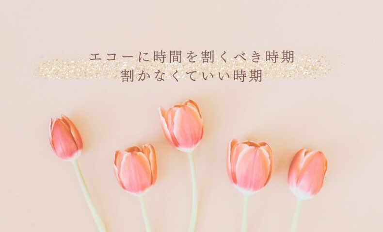 エコー学習に時間を使うべき時期とそうでない時期の違い