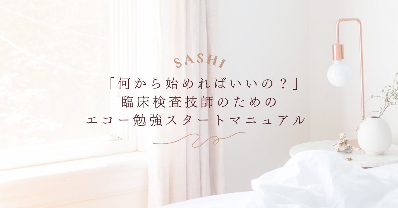 初心者向けエコー勉強スタートマニュアルを解説する画像