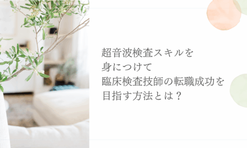 超音波検査スキルで臨床検査技師の転職成功を目指す方法を紹介