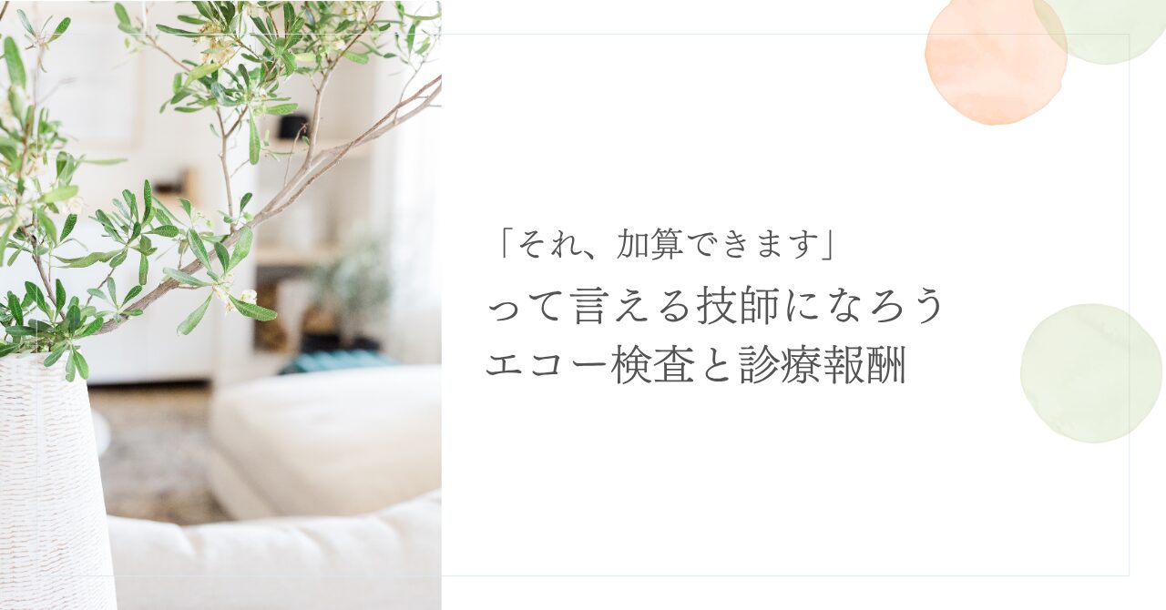 エコー検査の診療報酬と保険点数の基本をわかりやすく解説