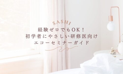 初心者研修医向けエコーセミナーのやさしい学習ガイド