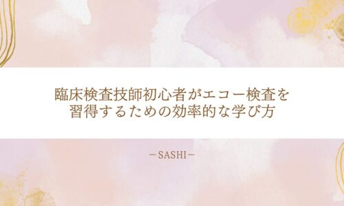 臨床検査技師初心者が効率的にエコー検査を習得する学び方