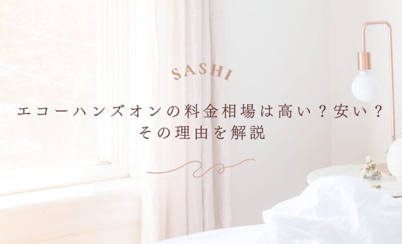 エコーハンズオンの料金相場が高い理由と安さの根拠を解説