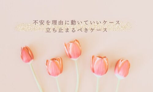 不安を理由に行動すべきか判断するエコー学習の視点