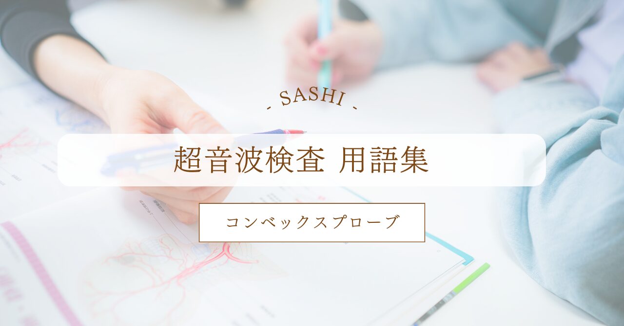 コンベックスプローブについて