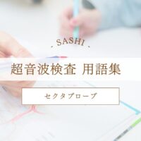 セクタプローブについて