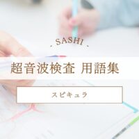 スピキュラについて