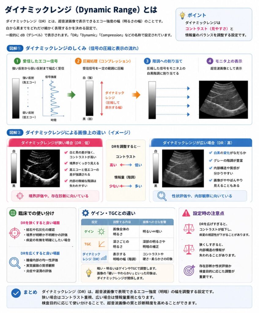 ダイナミックレンジが狭い場合と広い場合の超音波画像の見え方を比較し、コントラスト重視と情報量重視の違いを示した図