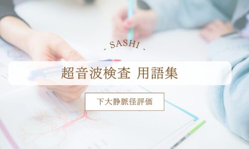 下大静脈径評価について