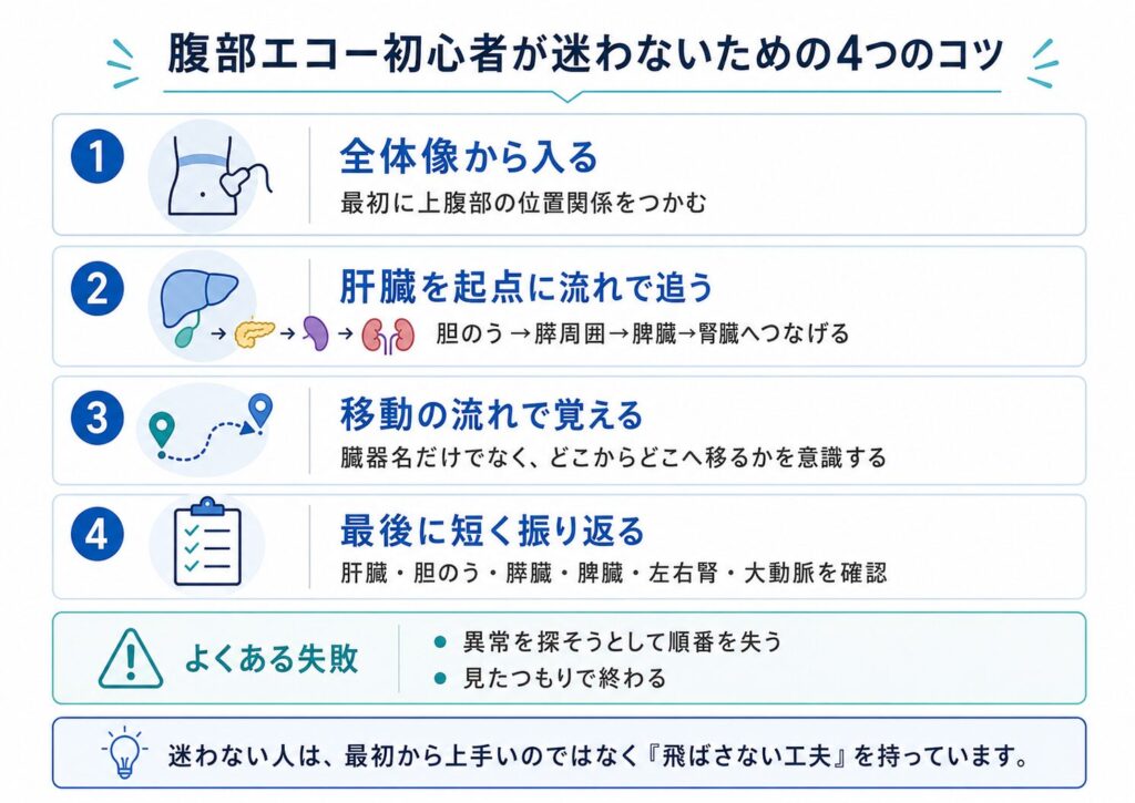腹部エコー初心者が迷わないための4つのコツとして全体像・観察ルート・移動の流れ・振り返りをまとめた図解