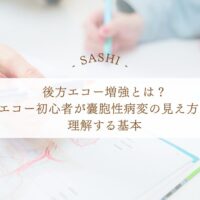 後方エコー増強の見え方と嚢胞性病変の基本を初心者向けに解説