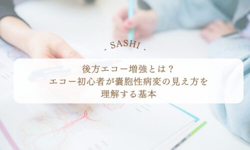 後方エコー増強の見え方と嚢胞性病変の基本を初心者向けに解説