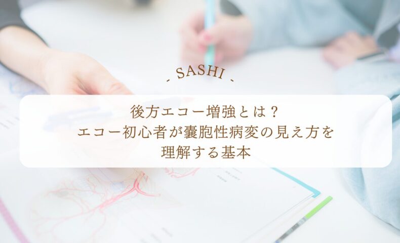 後方エコー増強の見え方と嚢胞性病変の基本を初心者向けに解説