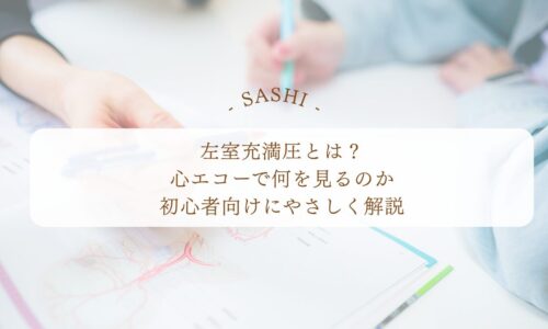 左室充満圧を心エコーで見る意味と初心者向け解説