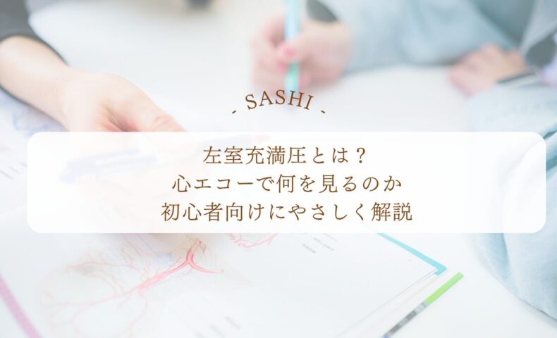 左室充満圧を心エコーで見る意味と初心者向け解説