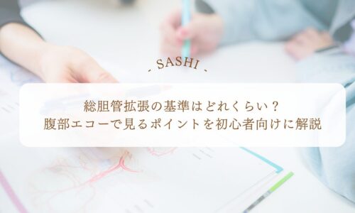 総胆管拡張の基準と腹部エコーで見るポイントを初心者向け解説