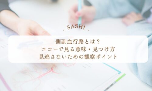 側副血行路をエコーで見つける観察ポイントと意味を解説