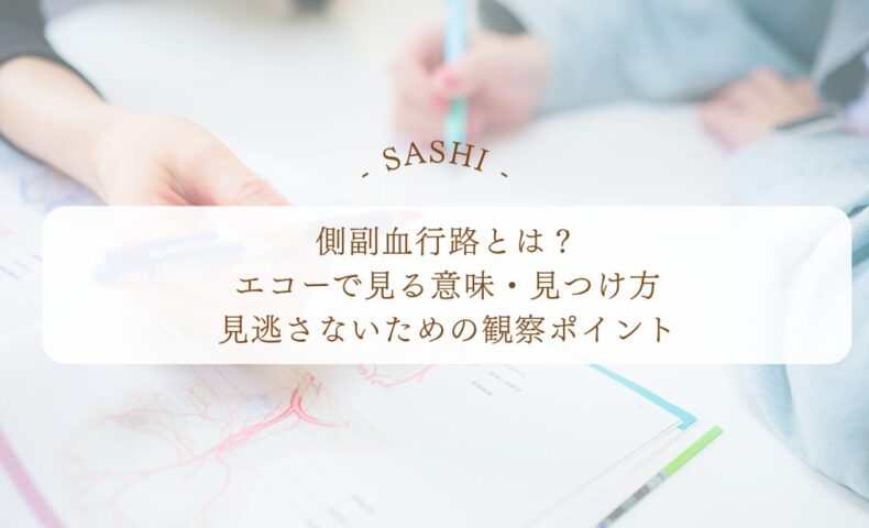 側副血行路をエコーで見つける観察ポイントと意味を解説