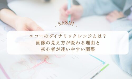 エコーのダイナミックレンジと画像調整の基本解説