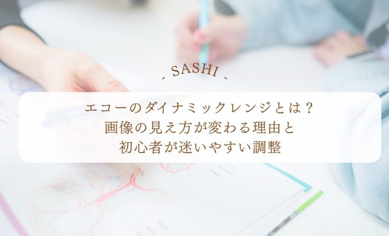 エコーのダイナミックレンジと画像調整の基本解説