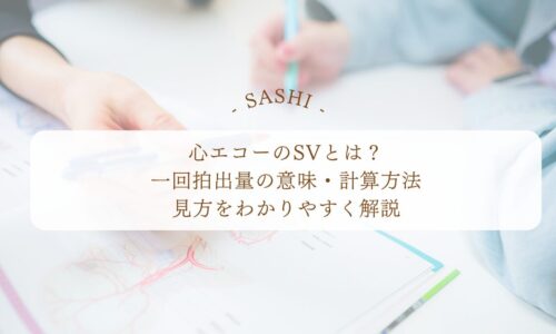 心エコーのSVと一回拍出量の意味や計算方法を解説