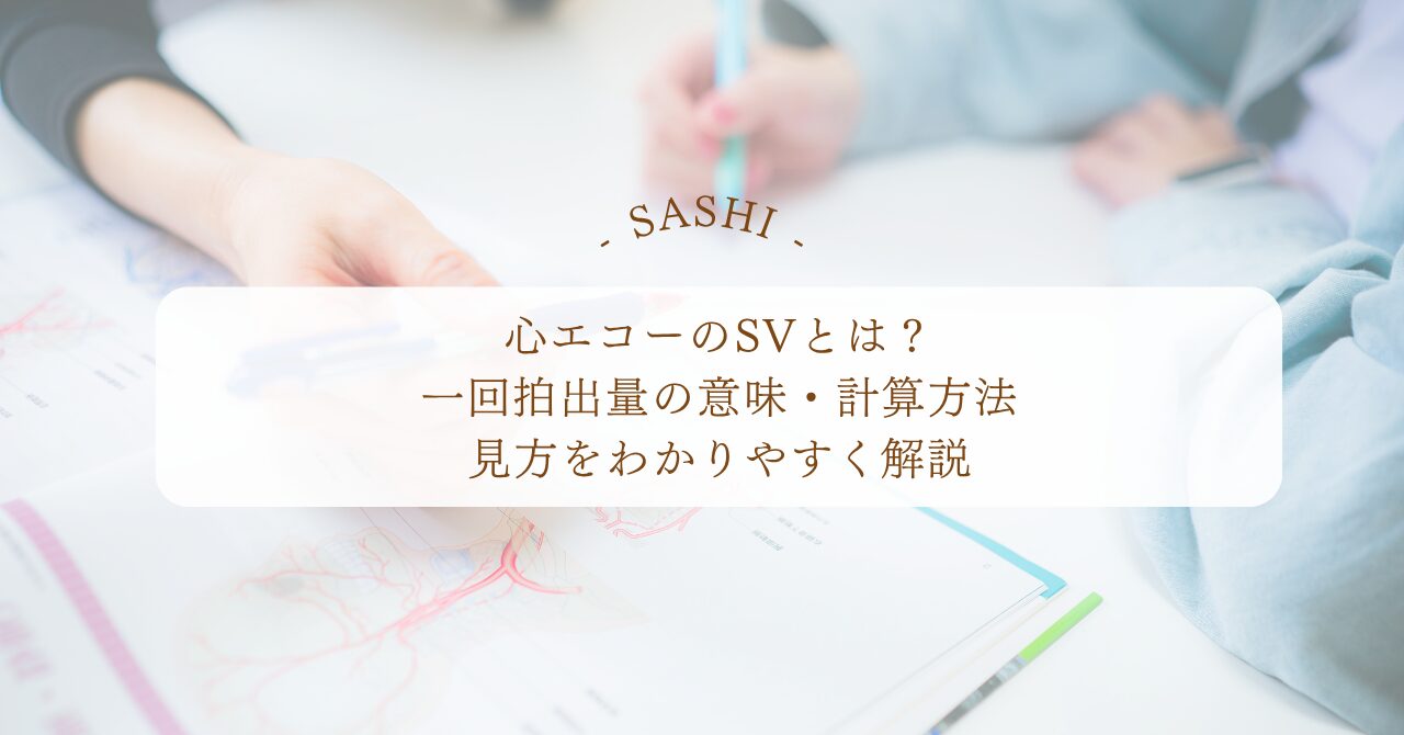 心エコーのSVと一回拍出量の意味や計算方法を解説
