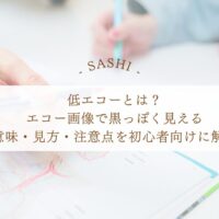 低エコーの意味とエコー画像の見方を初心者向けに解説