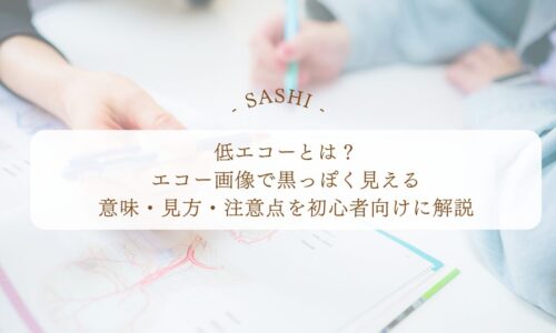 低エコーの意味とエコー画像の見方を初心者向けに解説