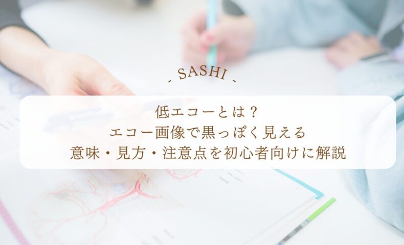 低エコーの意味とエコー画像の見方を初心者向けに解説