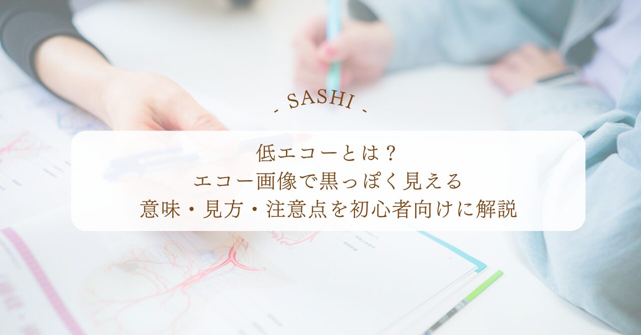 低エコーの意味とエコー画像の見方を初心者向けに解説