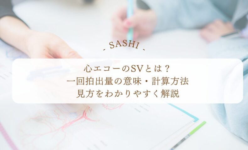 心エコーのSVと一回拍出量の意味や計算方法を解説