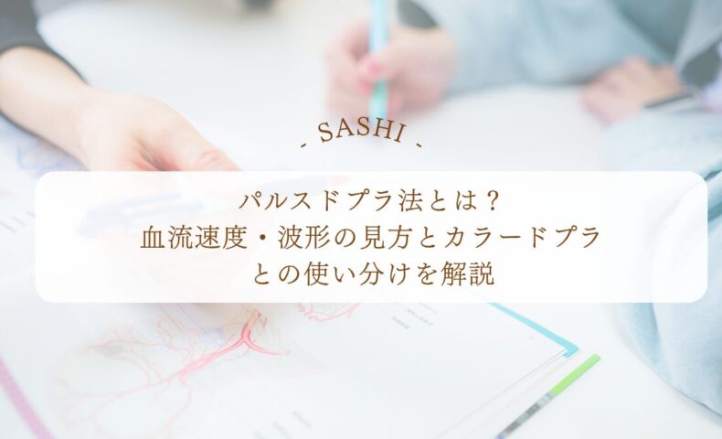 パルスドプラ法の血流速度と波形の見方を解説